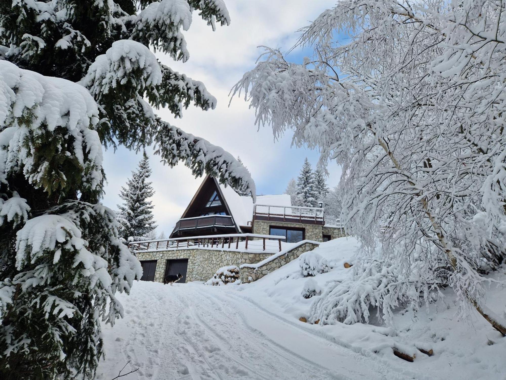 Le Chalet Pointu De Capucine Bourg-Saint-Maurice Exterior foto